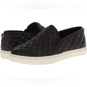STEVE MADDEN ecentrcq black shoe